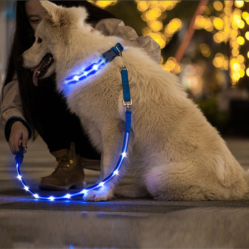 Kreative LED-USB-Lichtleine für Hunde