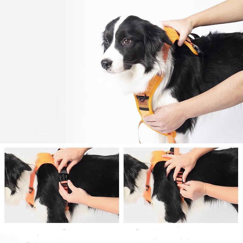 Hundehandhalterungsweste mit integrierter Leine