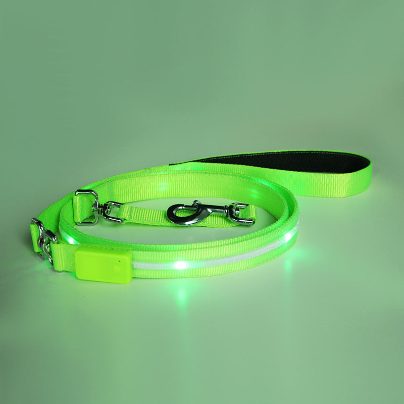 Kreative LED-USB-Lichtleine für Hunde