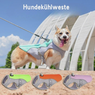 Sommer Hundekühlweste